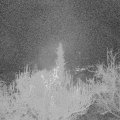 Webcam_20181120-060000