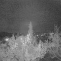 Webcam_20181120-183000