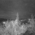 Webcam_20181120-190000