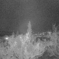 Webcam_20181121-180000