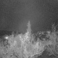 Webcam_20181121-190000
