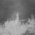 Webcam_20181122-060000