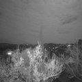 Webcam_20181122-213000