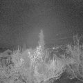 Webcam_20181123-060000