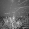 Webcam_20181123-210000