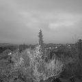 Webcam_20181124-170000
