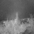 Webcam_20181124-180000