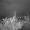 Webcam_20181124-213000