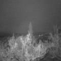 Webcam_20181125-070000