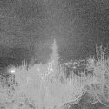 Webcam_20181125-193000
