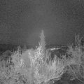 Webcam_20181126-060000