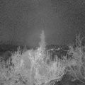 Webcam_20181126-063000