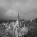 Webcam_20181126-170000