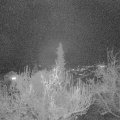 Webcam_20181126-173000
