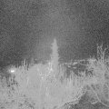 Webcam_20181126-183000