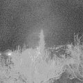 Webcam_20181126-190000