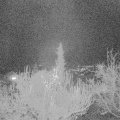Webcam_20181126-200000