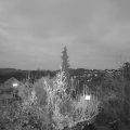 Webcam_20181127-170000
