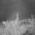 Webcam_20181127-173000