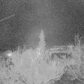 Webcam_20181127-180000