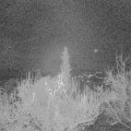Webcam_20181128-060000
