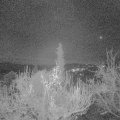 Webcam_20181128-063000
