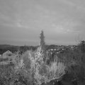 Webcam_20181128-170000
