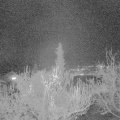 Webcam_20181128-183000