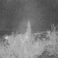 Webcam_20181128-200000