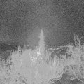 Webcam_20181129-193000