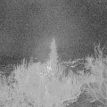 Webcam_20181129-200000