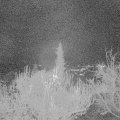 Webcam_20181129-203000