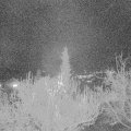 Webcam_20181129-210000