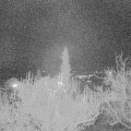 Webcam_20181129-220000