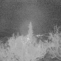 Webcam_20181130-063000