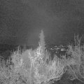 Webcam_20181130-070000