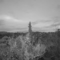 Webcam_20181130-073000