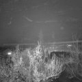 Webcam_20181130-180000