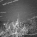 Webcam_20181130-213000
