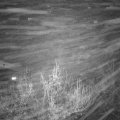 Webcam_20181130-220000