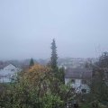 Webcam_20181201-110000