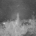 Webcam_20181201-173000