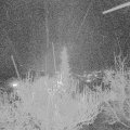 Webcam_20181201-210000