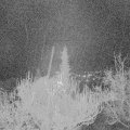 Webcam_20181202-070000