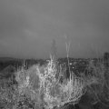 Webcam_20181202-073000