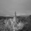 Webcam_20181203-073000