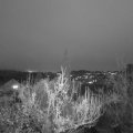 Webcam_20181203-170000
