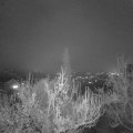 Webcam_20181203-210000