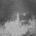 Webcam_20181204-060000