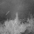 Webcam_20181204-070000